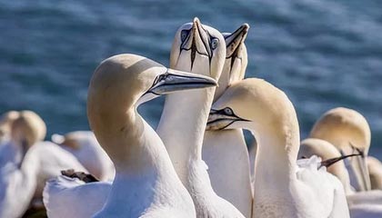 红河最新公积金卡提取现金操作及规定方法分析(最方便真实的红河公积金卡提取现金操作及规定是什么方法)