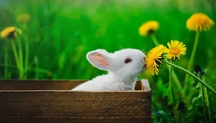 红河最新24小时在线上门回收方法分析(最方便真实的红河本地上门回收方法)